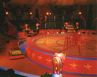 31capt.jpg (24274 bytes)